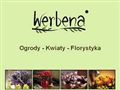 Werbena, Poznań